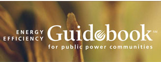 Energy Efficiency Guidebook for Public Power Communities