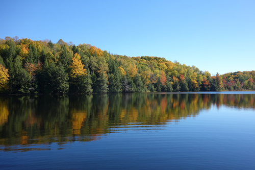 fall in Wisconsin