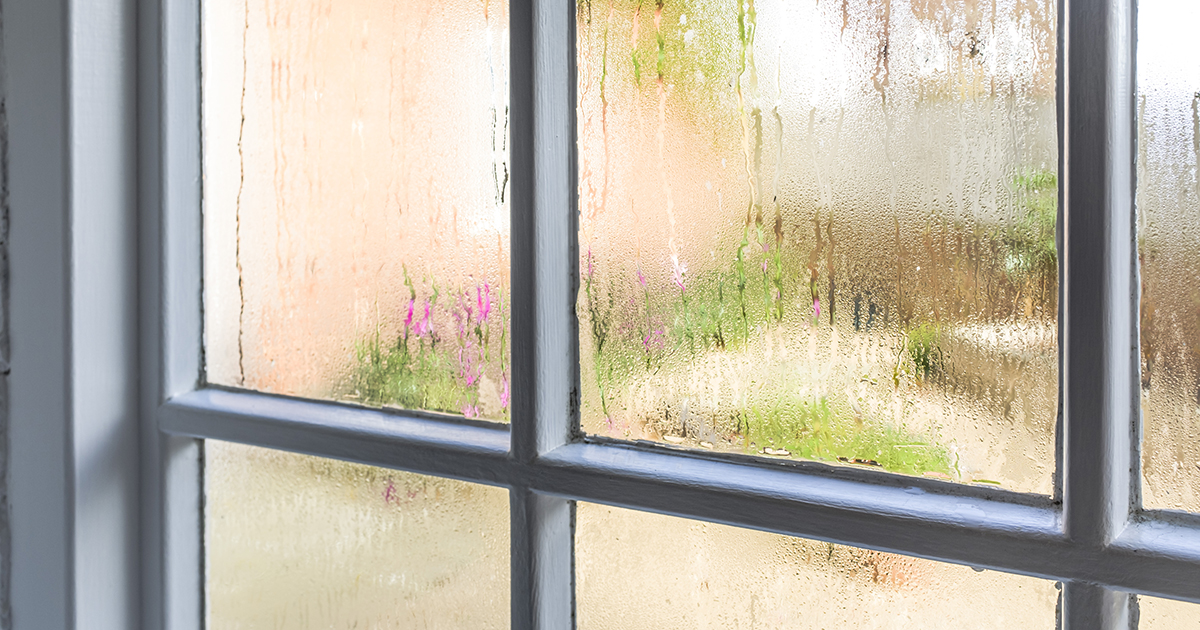 A rainy day outside a window