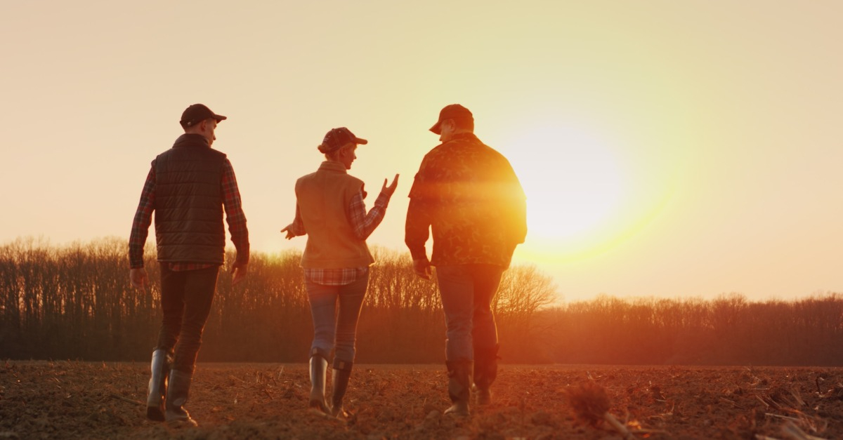 People in a field as sunsets behind them