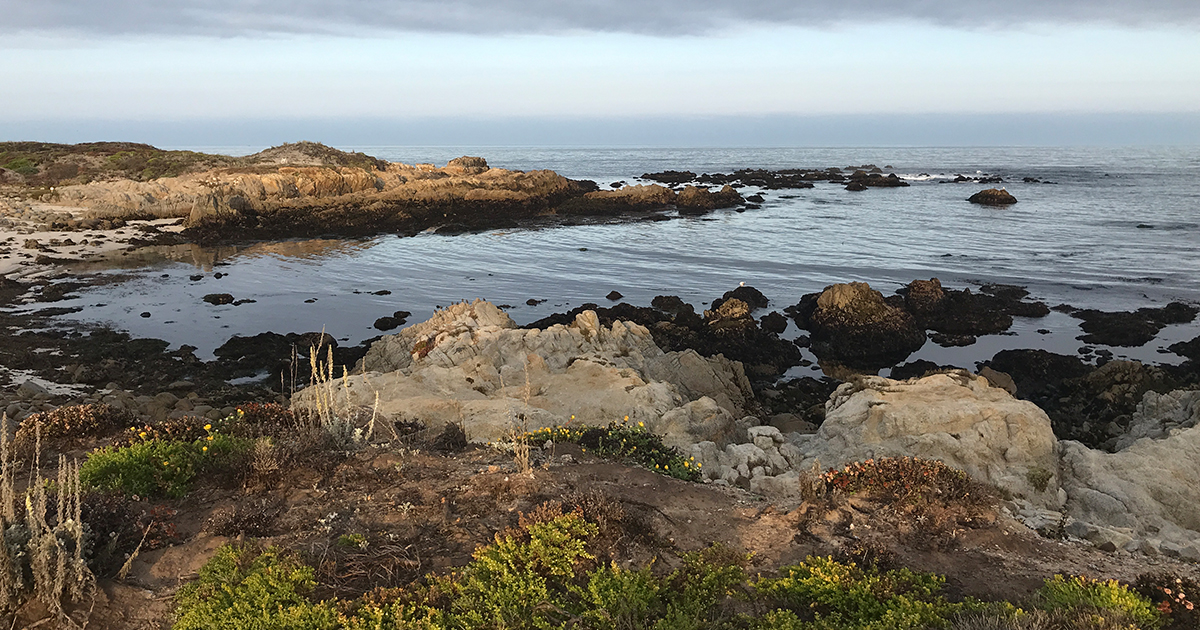 A view of the beach at Asilomar