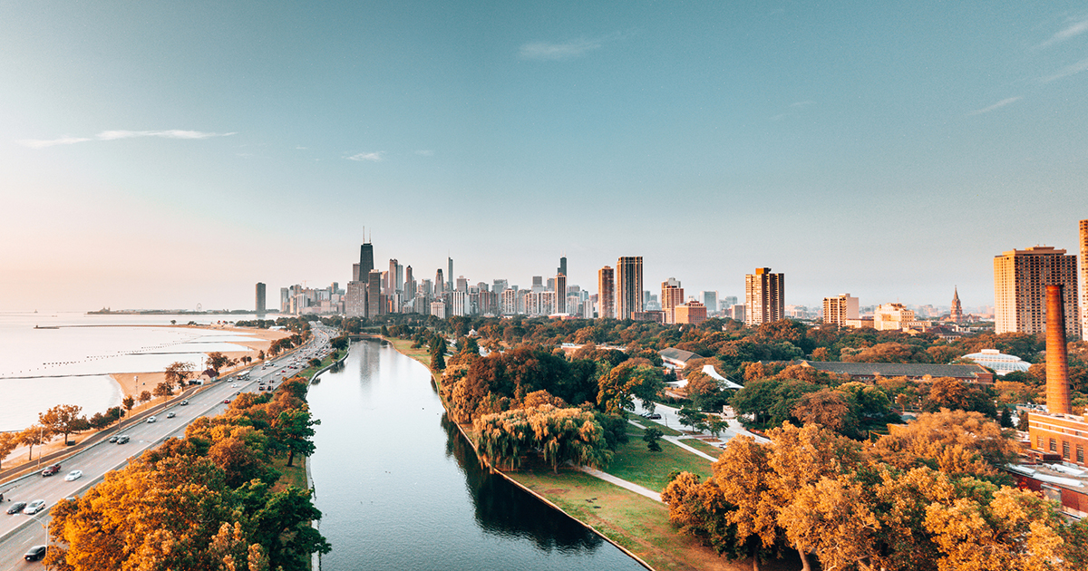 Chicago skyline with fall leaves in the foreground