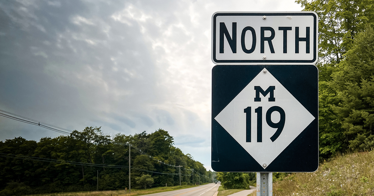 A road sign for the Michigan Highway (119)