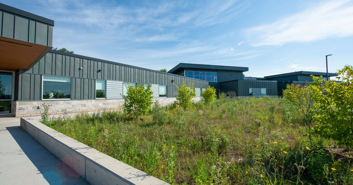 The exterior of Forest Edge school with plenty of green grass