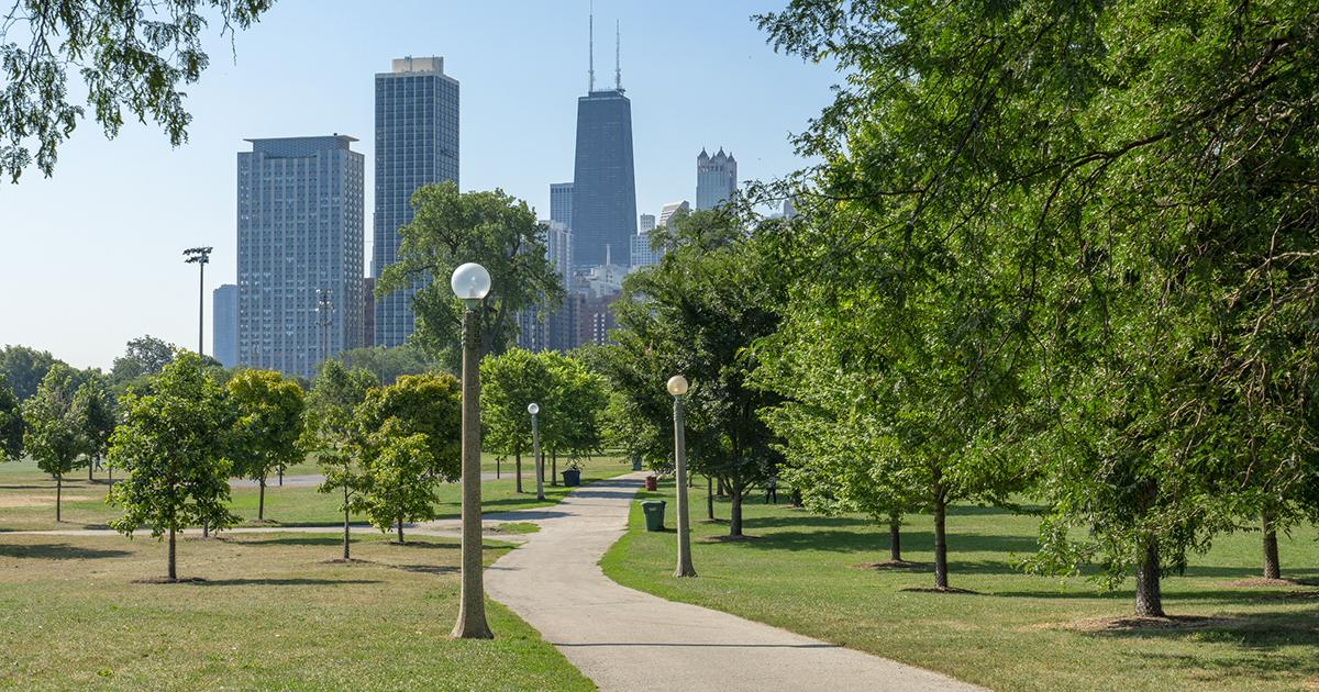 A path leading to the Chicago skyline