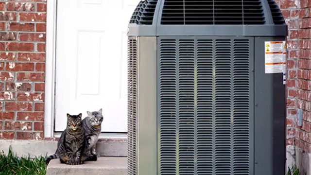 A heat pump in the foreground with dual cats in the background