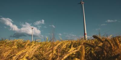 Wind turbines above a wheat field